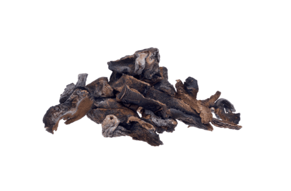 Diseño sin título(88)